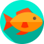 Fish 상 64x64