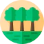 Forest 상 64x64