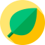 Leaf icon 64x64