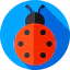 Ladybug 图标 64x64