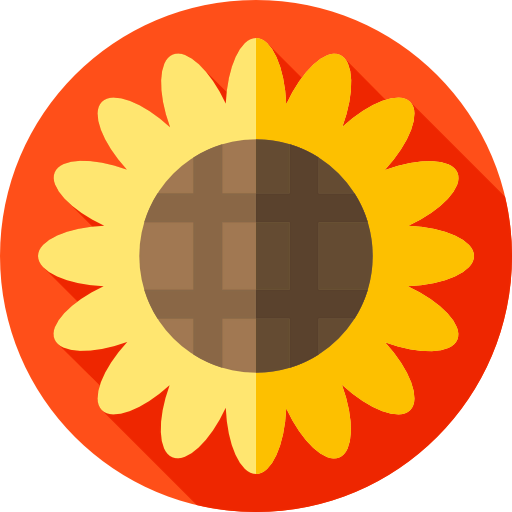 Sunflower icon