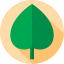 Leaf icon 64x64
