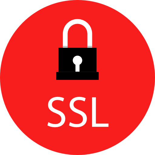 Ssl icon