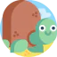 Turtle icône 64x64