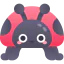 Ladybug 图标 64x64
