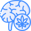 Brain icon 64x64