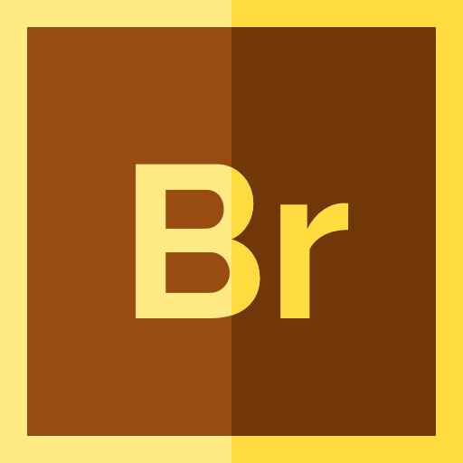 Bridge icon