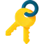 Key Ikona 64x64
