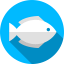 Fish 상 64x64