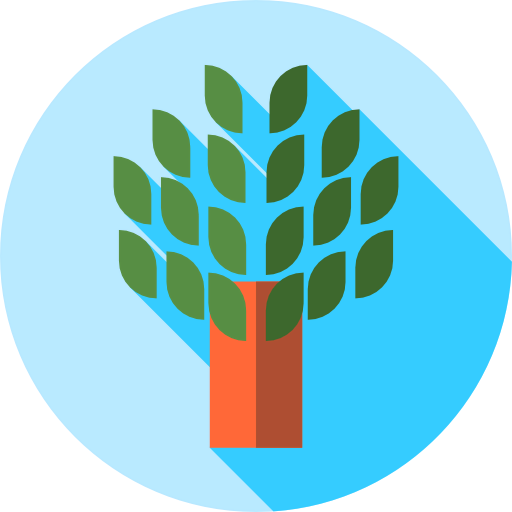 Olive icon
