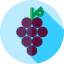 Grapes 상 64x64