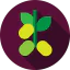 Оливковое иконка 64x64