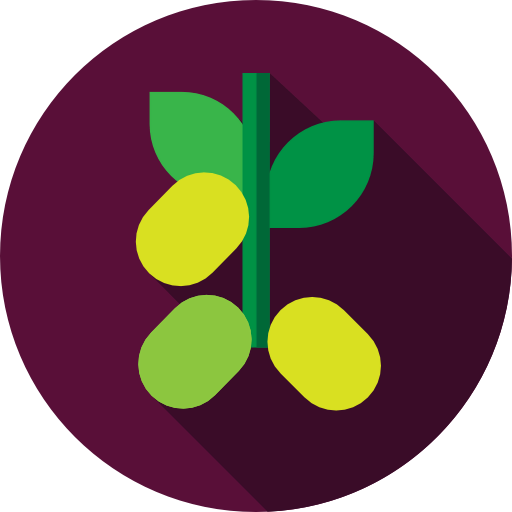 Olive icon
