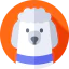 French poodle 상 64x64