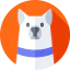 Siberian husky icon 64x64