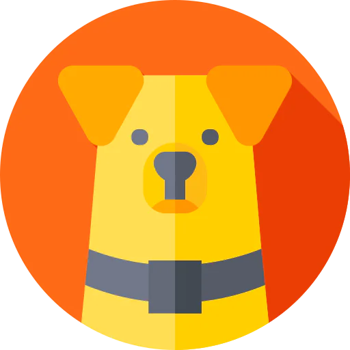 Corgi icon