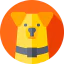 Corgi Symbol 64x64