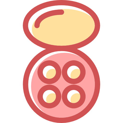 Makeup icon
