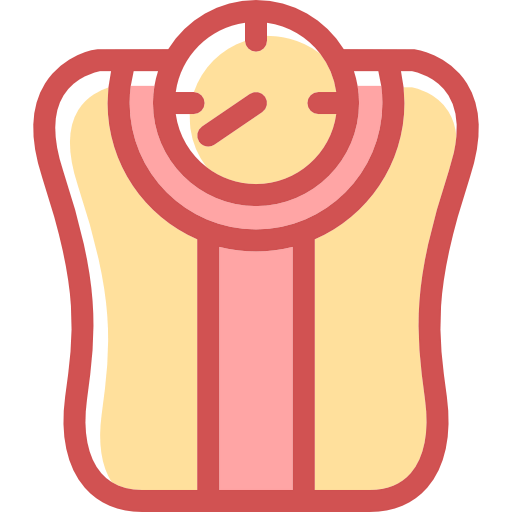 Scale icon