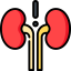 Kidney icon 64x64