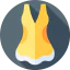 Swimsuit icon 64x64