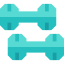 Dumbbell icon 64x64