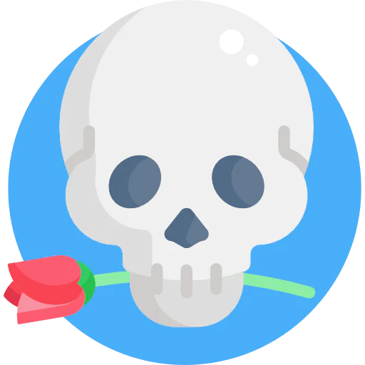Skull icon