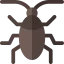 Cockroach ícono 64x64