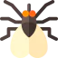 Fly 상 64x64