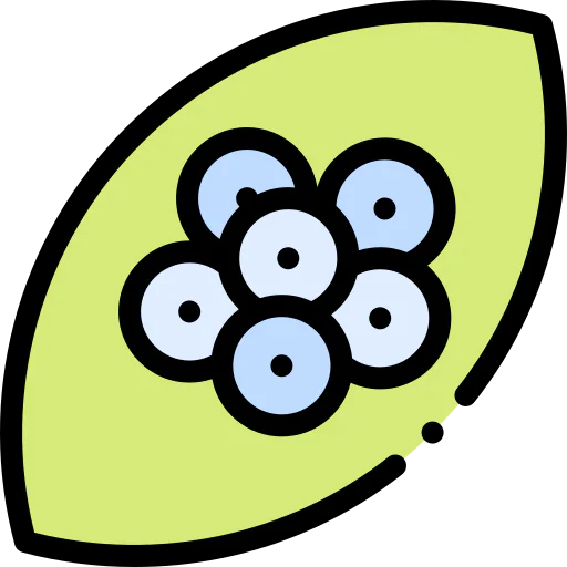Eggs icon