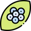 Eggs icon 64x64