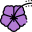 Hibiscus icon 64x64