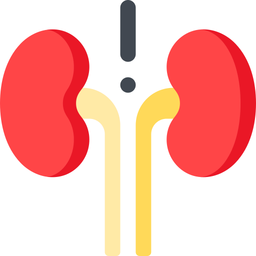 Kidney icon