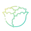 Cabbage 图标 64x64