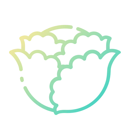 Cabbage icon