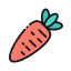 Carrot icon 64x64