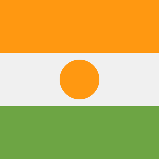 Niger icon