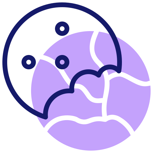 Cookie icon
