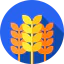 Wheat icon 64x64