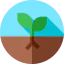Sprout icon 64x64