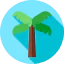 Palm tree Ikona 64x64