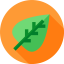 Leaf Symbol 64x64