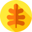Oak Symbol 64x64