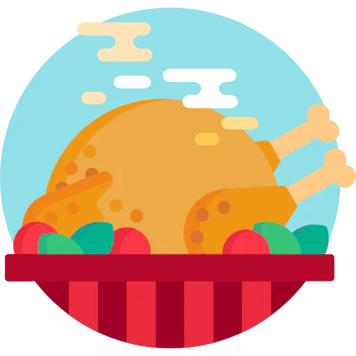 Turkey icon