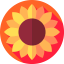 Sunflower アイコン 64x64
