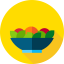Salad icon 64x64