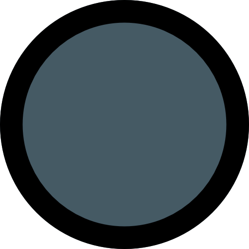Record icon