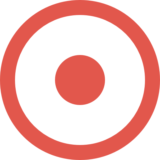 Record icon