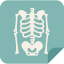 X rays Symbol 64x64