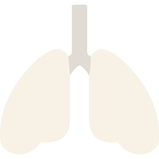 Lungs icon
